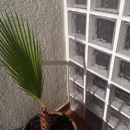 Apartment Orange Tree Balcony *