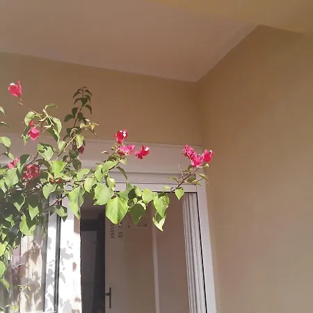 Appartement Orange Tree Balcony *